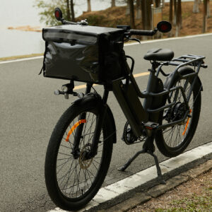OASIS 260T